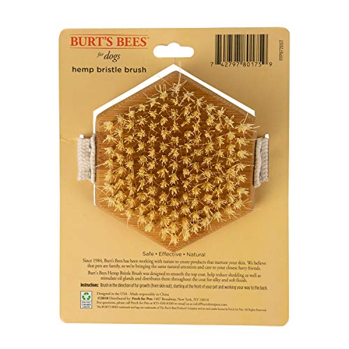 Burt's Bees for Pets Palm Brush with Hemp Bristles Best Ergonomic Dog Brush To Groom Large Dogs Easy to Hold Dog Brush Handle Reduces Stress On Your Wrist Ideal for Daily Grooming (Pack of 1)