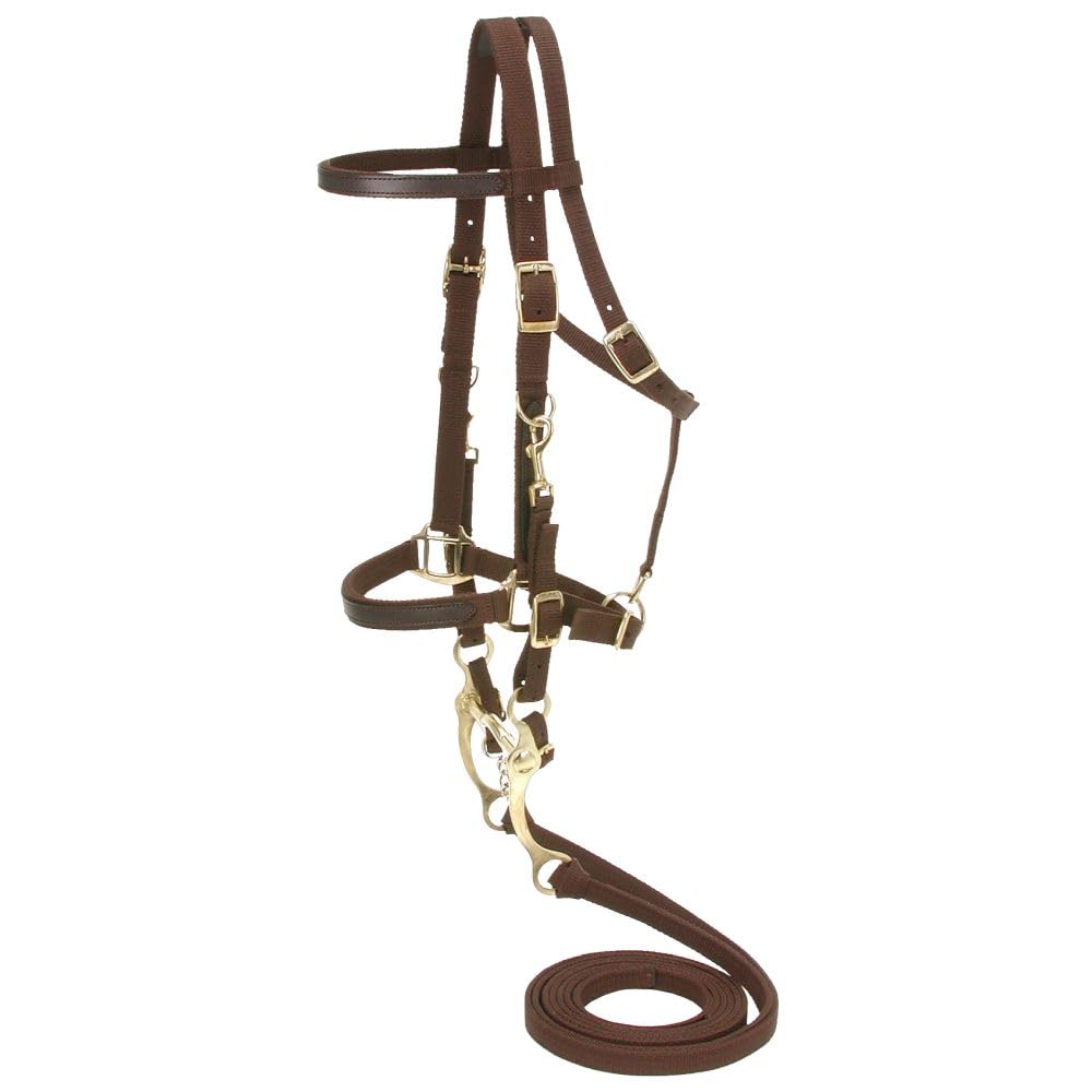 Australian Outrider Nylon Halter Bridle with Reins - Brown