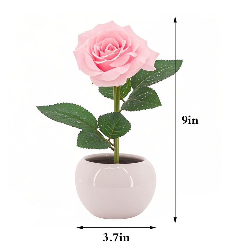 Naimo Flower Night Light Rechargeable LED Night Lamp Rose Table Lamp for Bedroom Living Room Birthday Party Desktop Home Decor