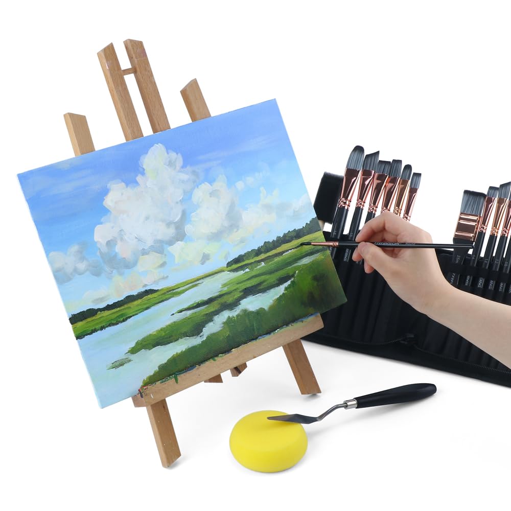 Transon 20Pcs Art Paint Brush Kit with Storage Case, 16 Brushes + Foam Brush Spatula Sponge for Acrylic Oil Watercolor Gouache, Adults Teens Beginners Art Supplies