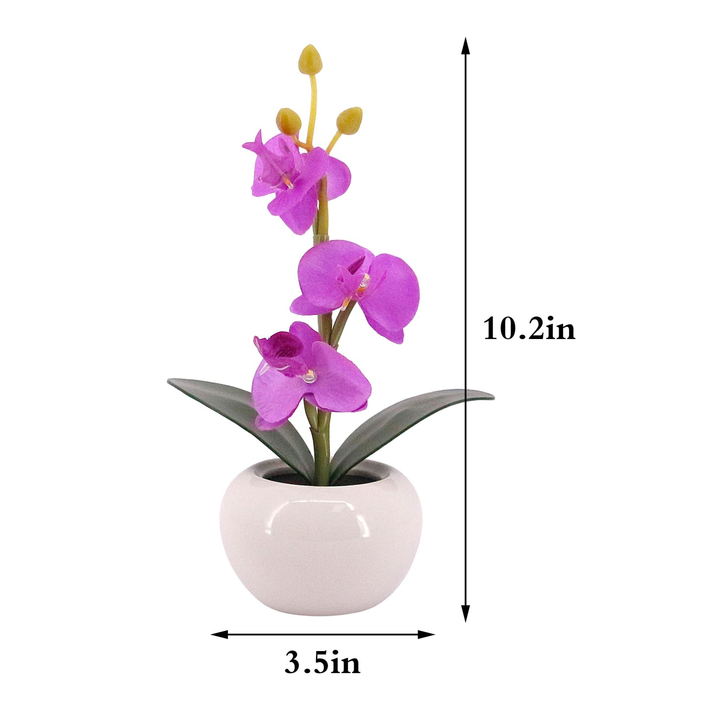 Naimo Phalaenopsis Night Light Rechargeable LED Night Lamp Flower Table Lamp for Bedroom Living Room Birthday Party Desktop Home Decor