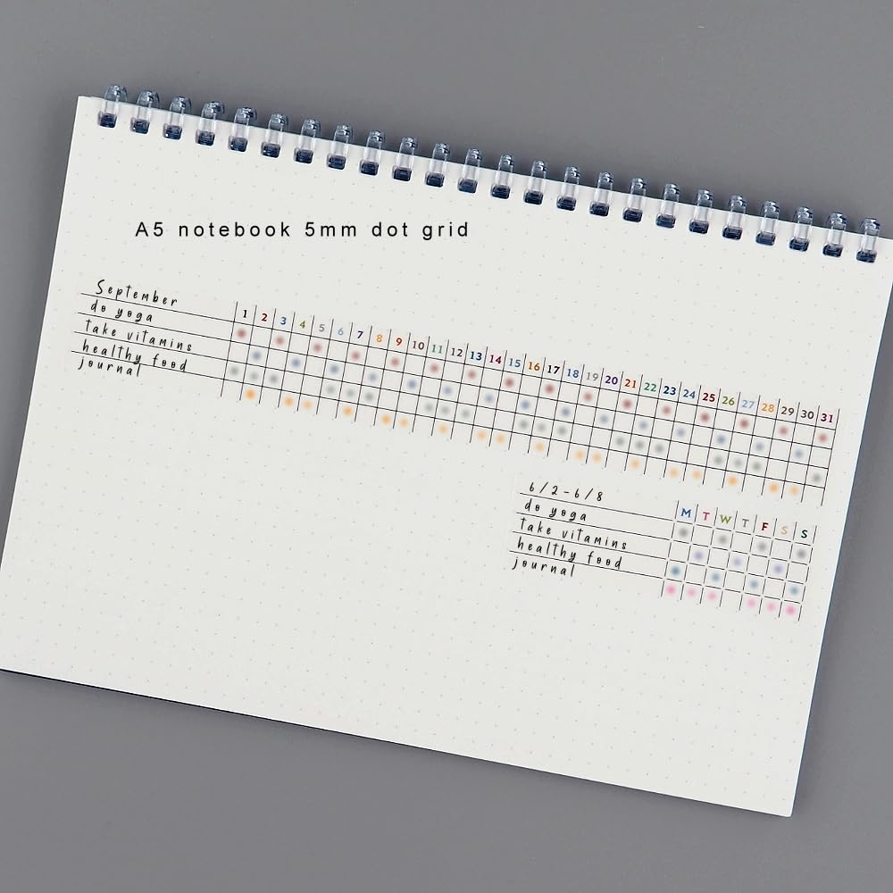 LAOMIS Japanese Writable Washi Tapes/Set of 2 / Habit Tracker / 25mm x 10m / 50 Months & 125 Weeks