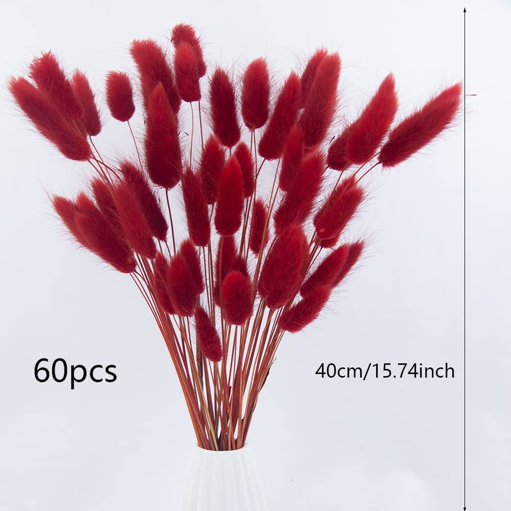 JOJAZE 60pcs Dried Bunny Tails Flowers Red Pampas Grass Natural Dried Floral Arrangement Dry Flowers for Christmas Halloween Boho Decor Home Wedding DIY Craft Decoration (16")…