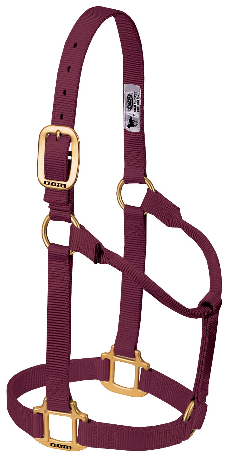 Weaver Leather Original Non-Adjustable Nylon Horse Halter, Small, Burgundy