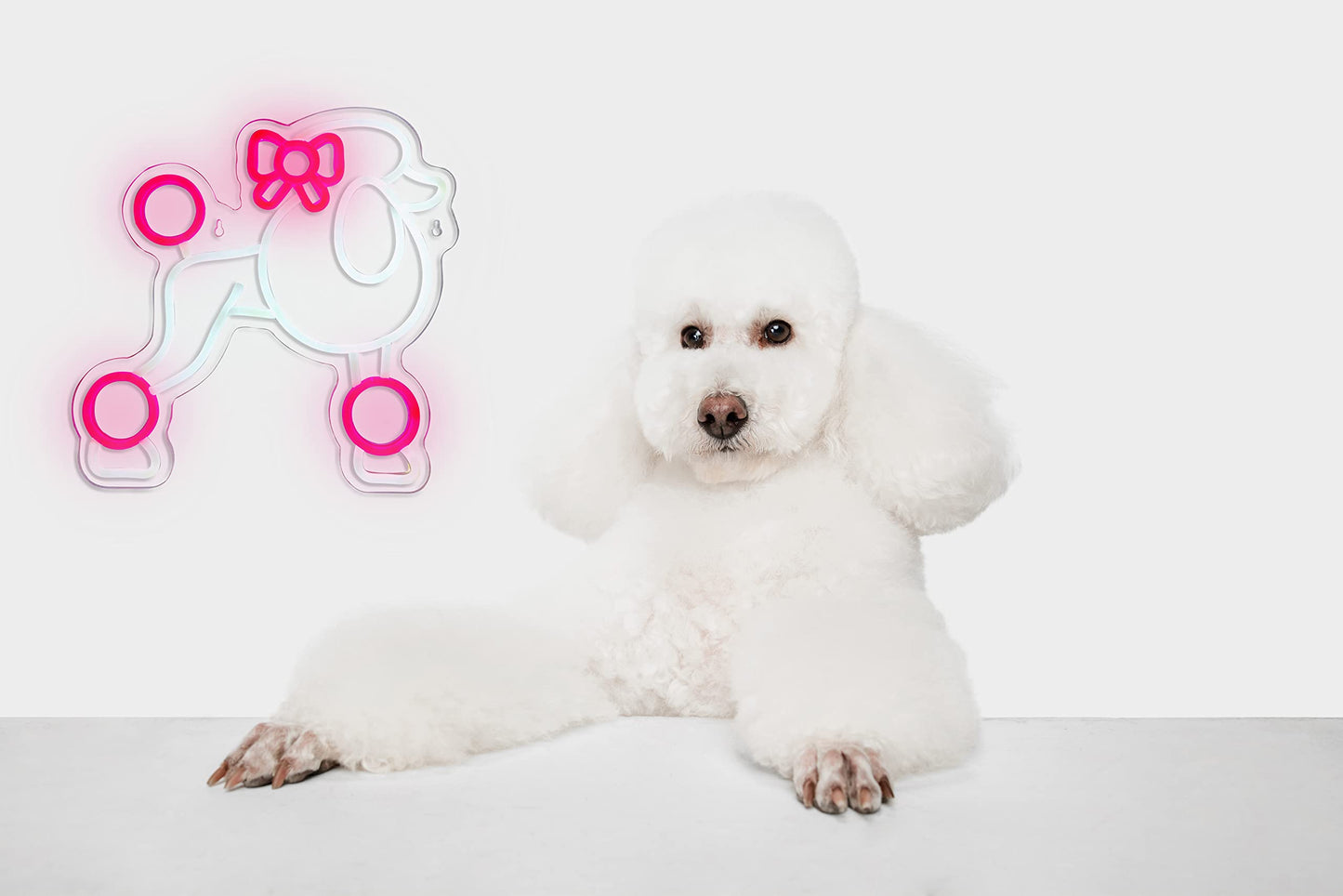 Poodle Neon Sign - Cute Animal Decor for Bedroom, Kids Room, Art Wall - Pink Neon Light Gift for Dog Lovers by JIARODEY