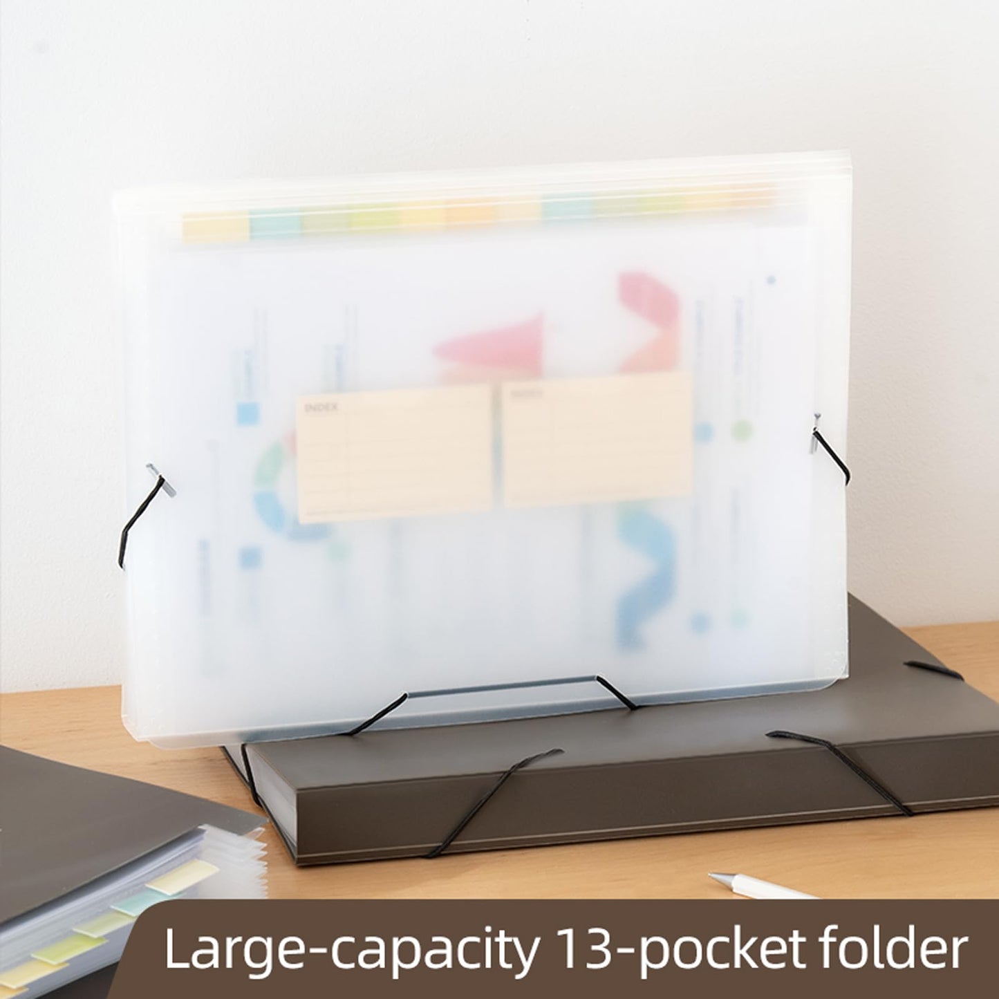 Expanding File Folder with Tabs, 13 Pockets File Organizer Accordion File Holder ,with Elastic Buckles Closure, A4 Paper Document Organizer for Home School Office (1, Transparent White)