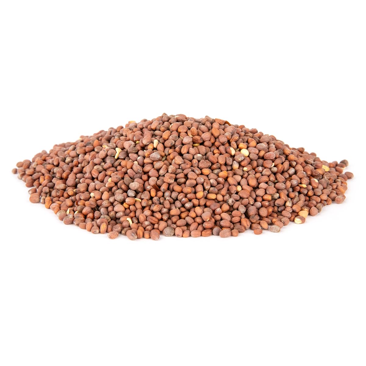 Ani-Logics Outdoors Crush Radishes Deer Food Plot Seed - Fast Germination, Deep Taproots Break Soil Compaction, Frost-Sweetened Draw for Late-Season Hunts - 1 lb