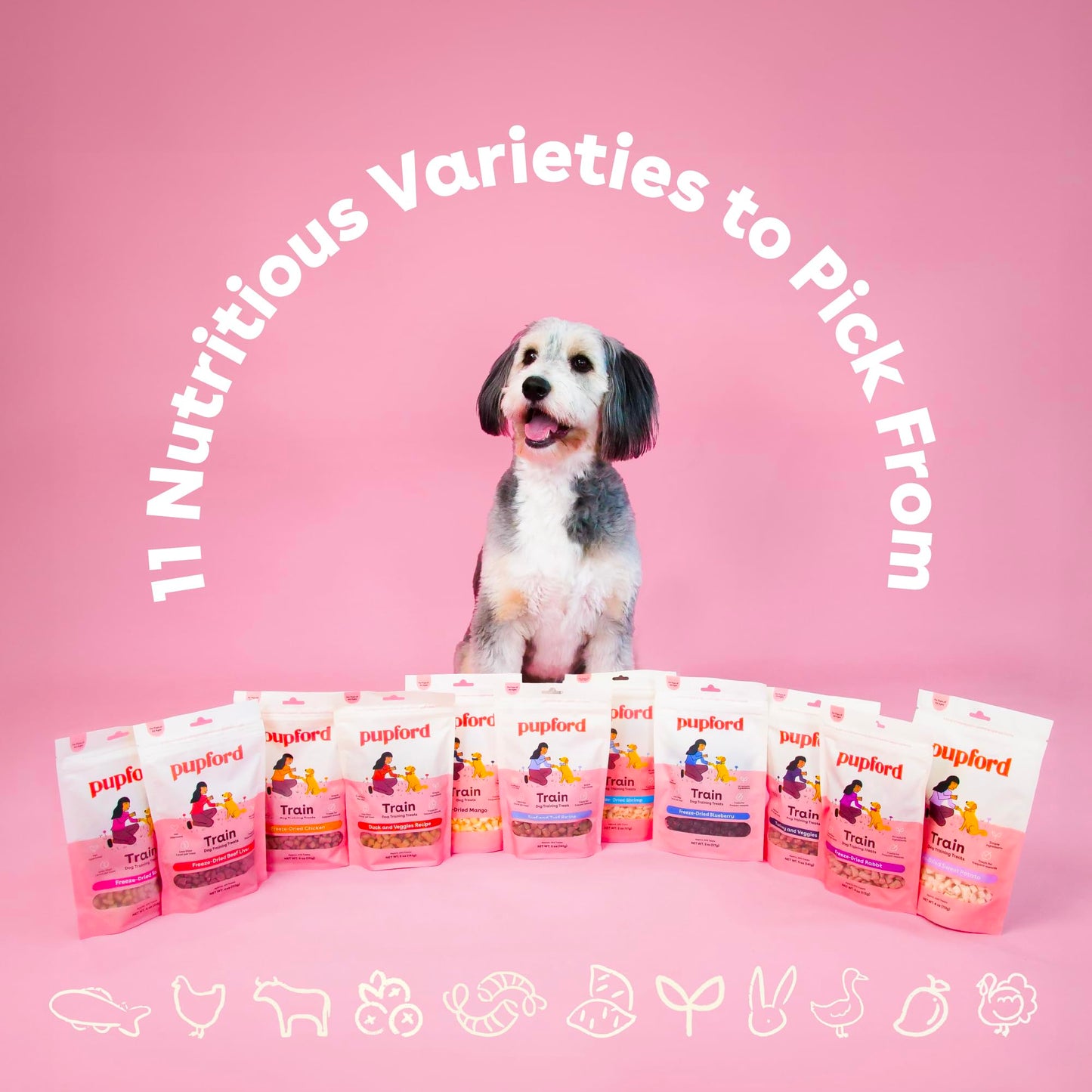 Pupford Freeze Dried Training Treats for Dogs & Puppies, 475+ Two Ingredient Bites (Chicken, 4 oz)