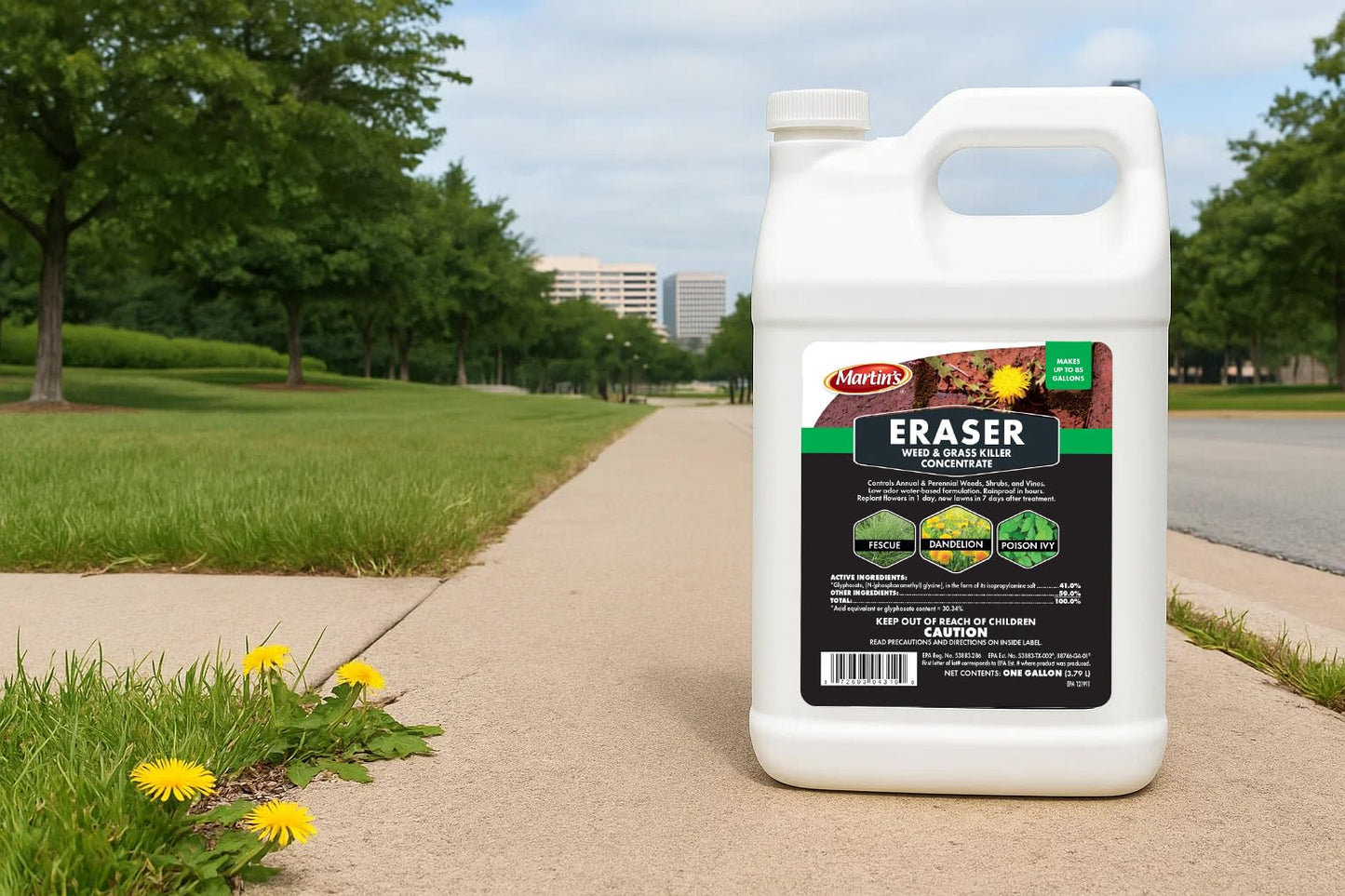 Control Solutions Inc. 82004319 Eraser Weed & Grass Killer Concentrate, 1_Gallon, 128 oz