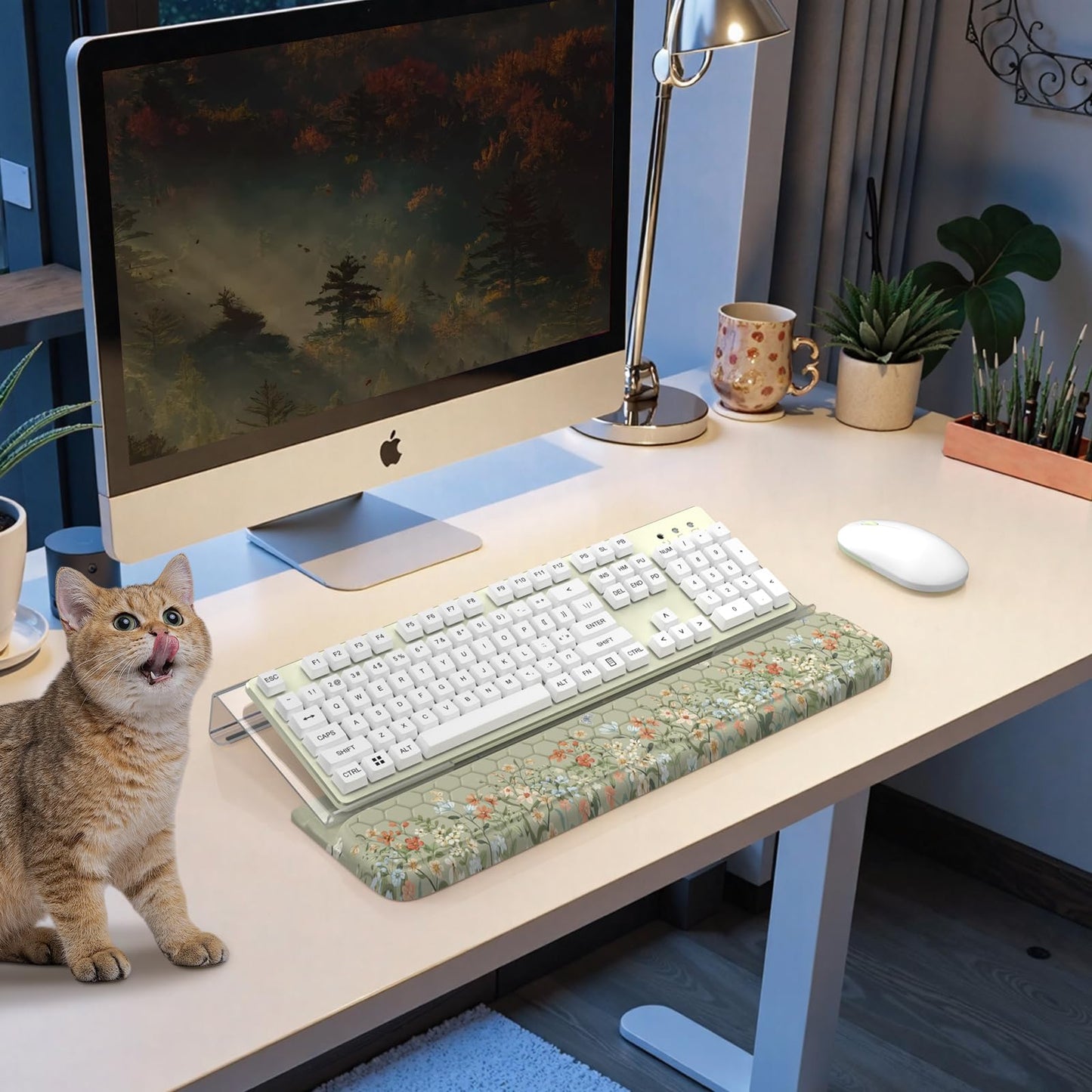 HAOCOO Computer Keyboard Stand, Wrist Rest with 3-Level Height Adjustment, Acrylic Keyboard Holder for Comfortable Typing, Tilted Keyboard Rest, Desk Wrist Pad for Office, Home