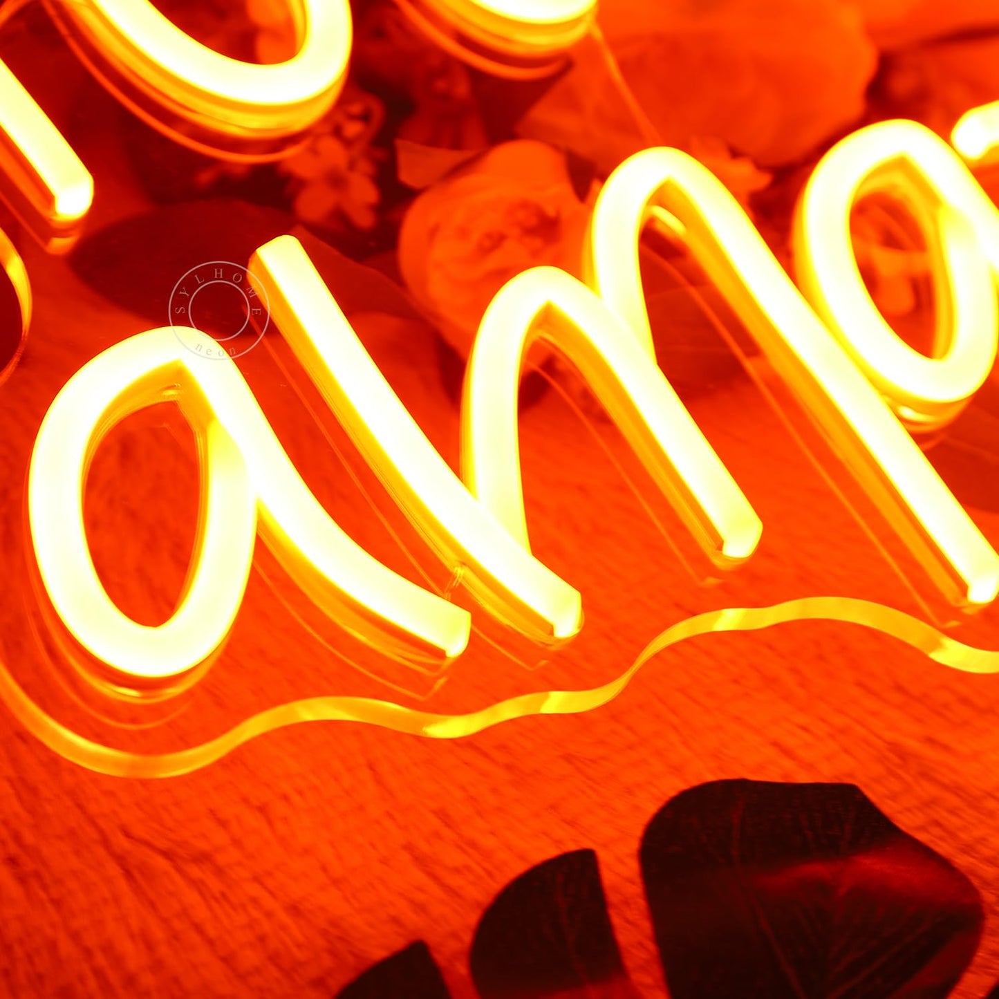 SYLHOME Orange You Are Amazing LED Neon Light Sign 5V Girls Boys Bedroom Living Room Classroom Wall Decor Sign Hanging Smart Birthday Decoration USB 16.9" X 10.6"