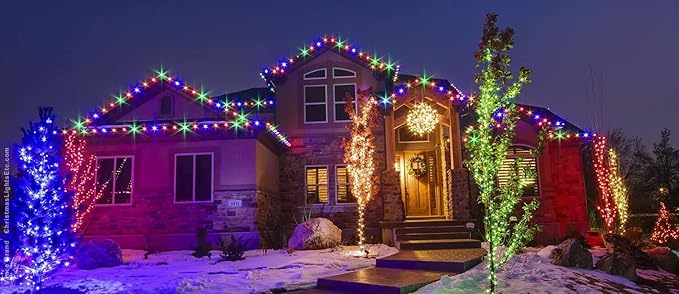 WYZworks 576LEDs 50ft LED Outside Rope Lights, Outdoor ETL Certified Waterproof Permanent 360 Degree Light Emitting, Flexible Tube, Connectable, Christmas Palm Tree Exterior Landscape, Colorful