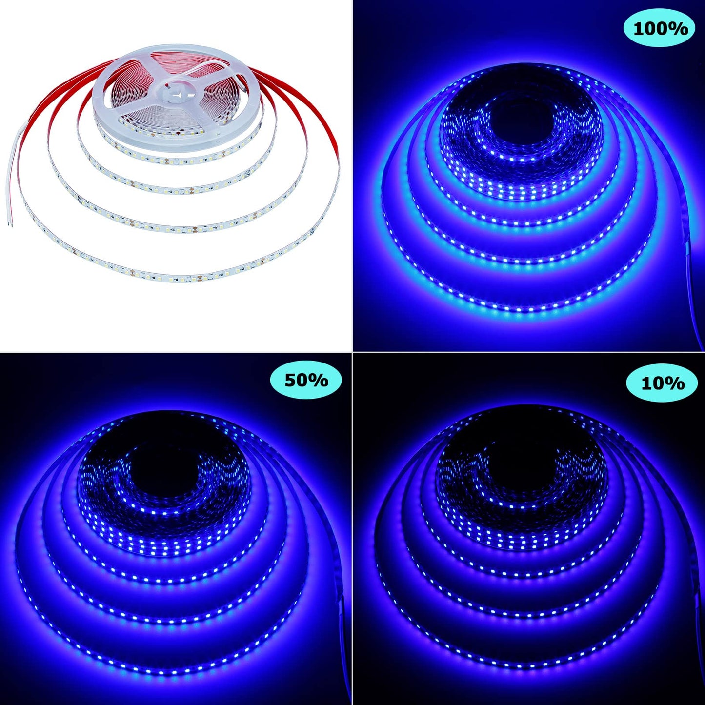 KXZM 24V 32.8ft(10M) Blue LED Strip Light 1200LEDs 2835 SMD 90W High Brightness No-Waterproof IP20 Flexible Ribbon for Kitchen Garden Backyard Hallways Stairs Decoration Lighting(No Power Supply)