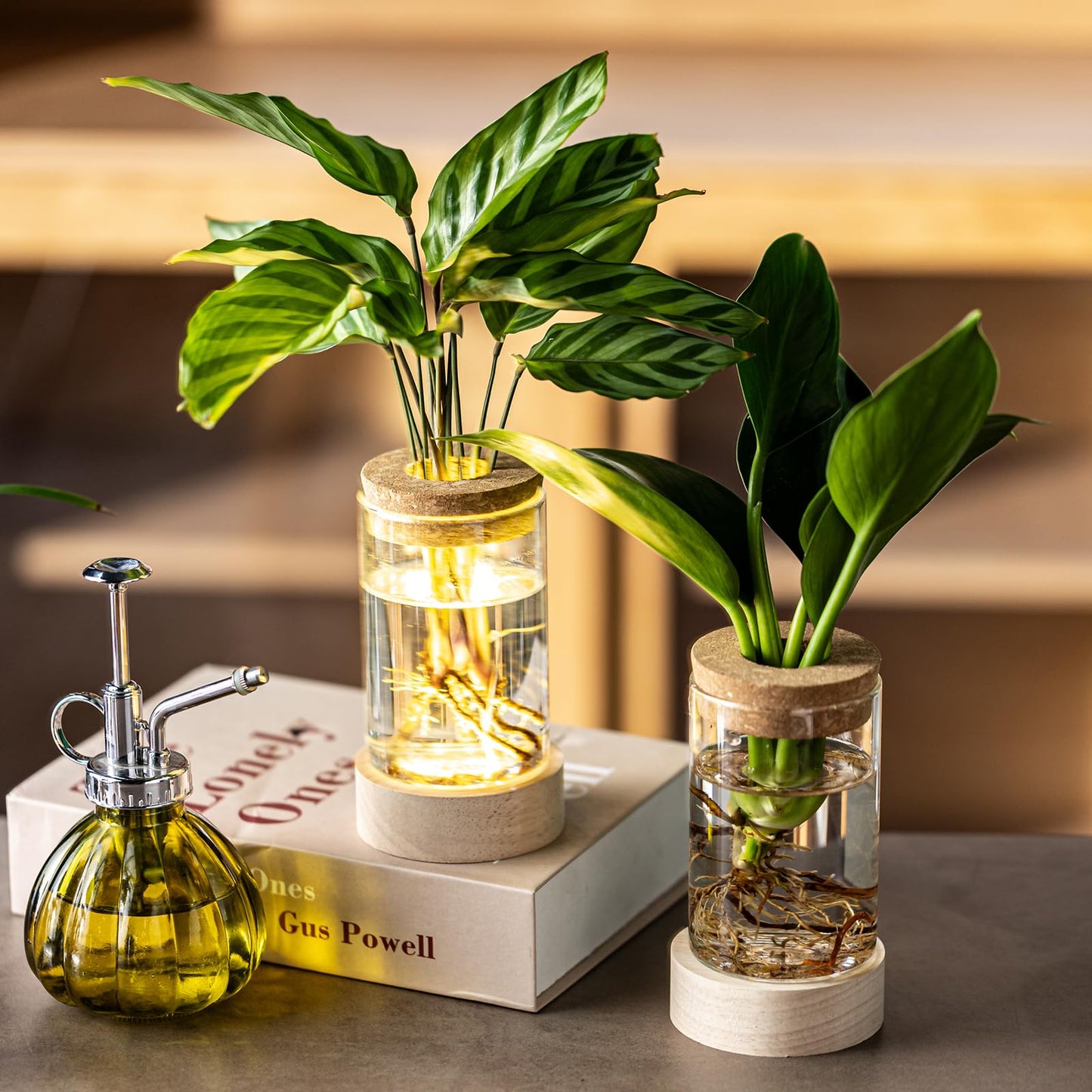 Glass Plant Propagation Stations, Propagation Vases for Plants with Ambient Light Base, Hydroponic Vase for Home & Office Windowsill Tabletop Decoration Desktop Vases for Living Room, Bedroom (6)