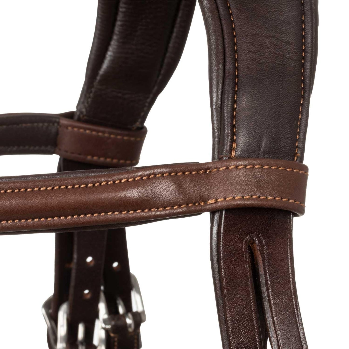 Acavallo Filosofia Bridle Headstall Calfskin, Full Size, Dark Brown