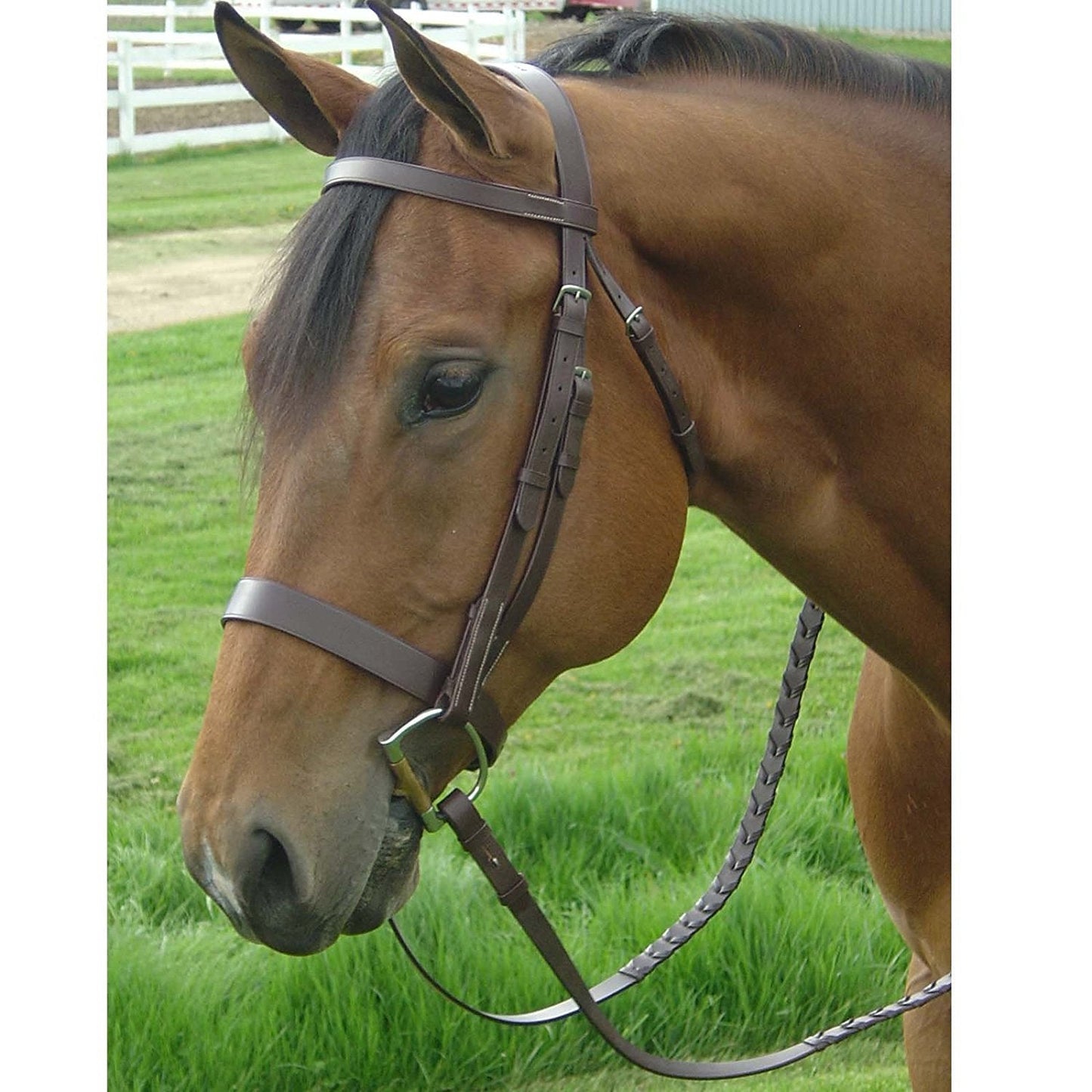 Paris Tack English Hunt Bridle & Laced Reins, Havana, Horse