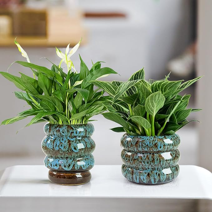 Ceramic 5 inch Plant Pot - Planter for Indoor Plants with Drainage Hole, Flower Pots for Orchid, Succulent,Outdoor Plants, Modern Glaze Planters for Home Office Decor Gift