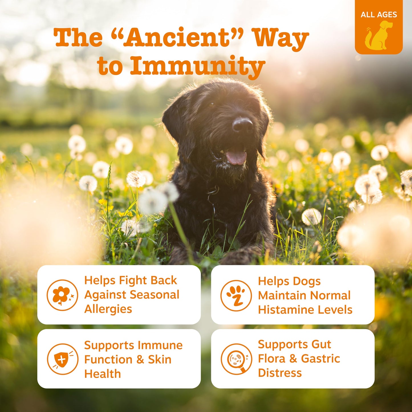 Zesty Paws Dog Allergy Relief - Anti Itch Supplement - Omega 3 Probiotics for Dogs - Digestive Health - Soft Chews for Skin & Seasonal Allergies - with Epicor Pets - Bison - 90ct