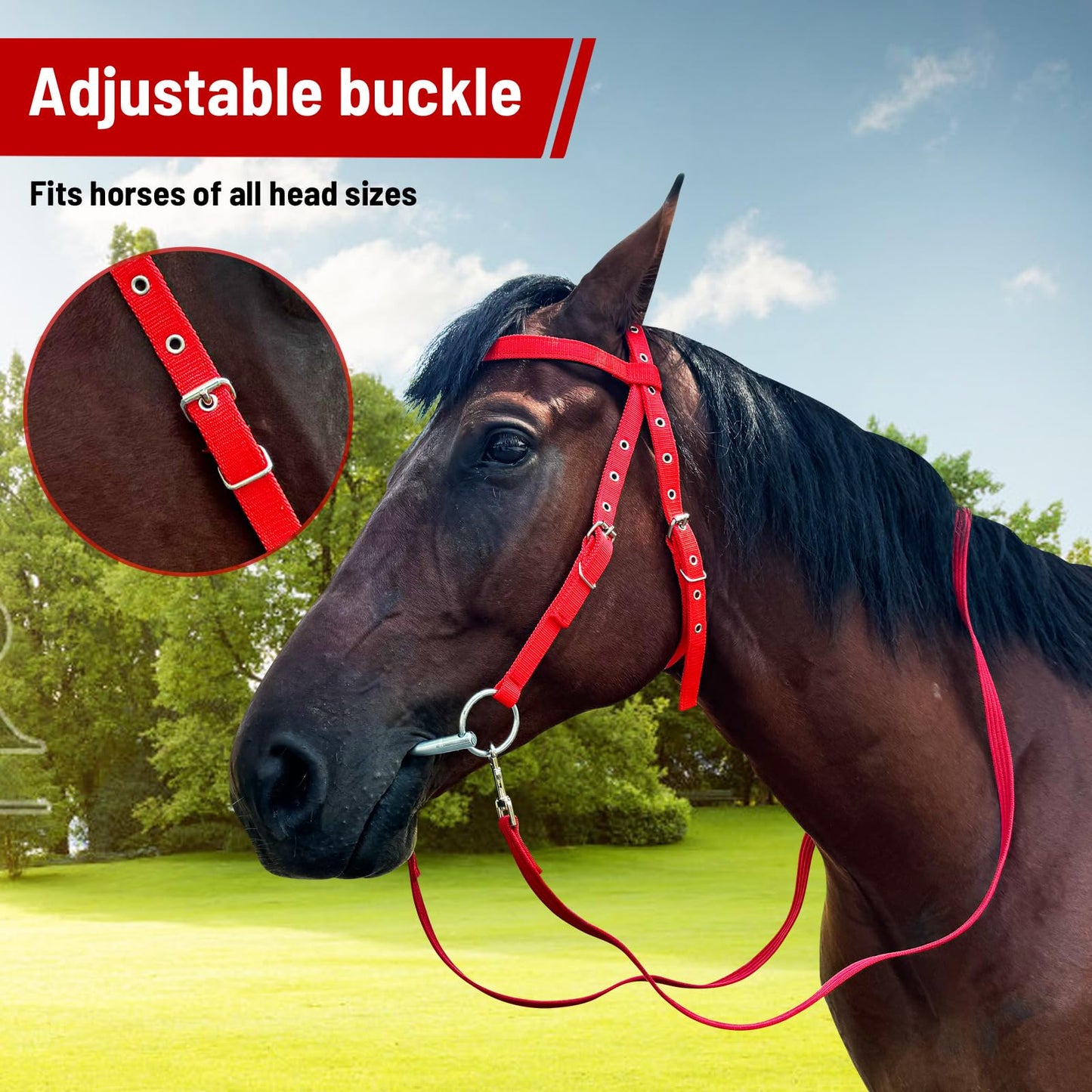 BIGANTTOW Adjustable Horse Bridle with Stainless Steel Bit, Black Nylon Headstall with Reins, Horse Bridles with Bit Non-Slip Design (Blue, L)