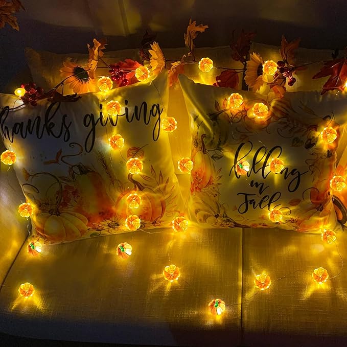 TURNMEON 2 Pack 3D Thanksgiving Pumpkin Lights Thanksgiving Decorations, Total 20Ft 40LED Warm White Pumpkin String Lights Battery Operated Thanksgiving Light Thanksgiving Decor Fall Home Indoor Decor