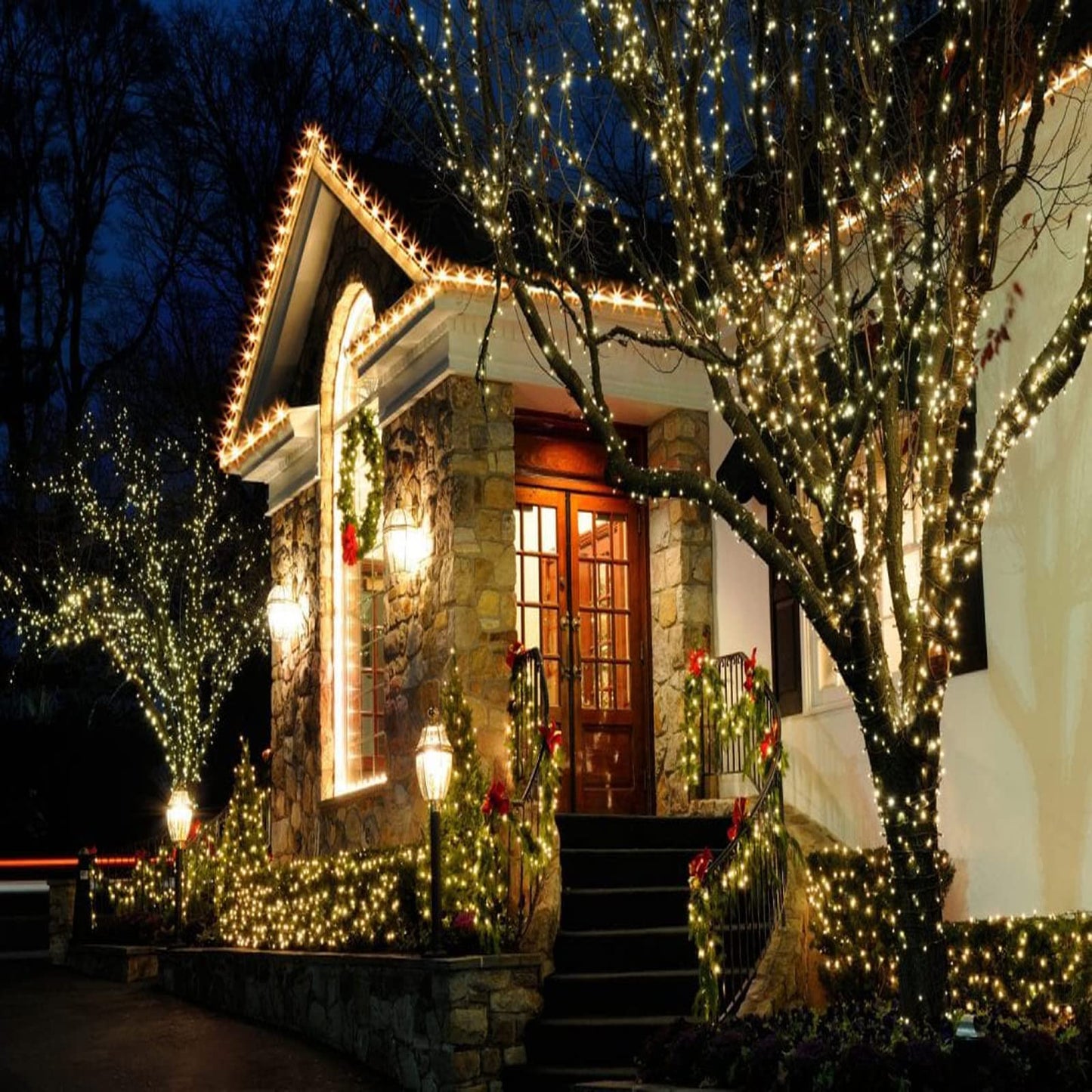 Wominoy 25ft 50 Counts Warm White LED Christmas Lights - Commercial Grade Outdoor Waterproof, Green Wire, Xmas Tree Lights, IP:65, UL