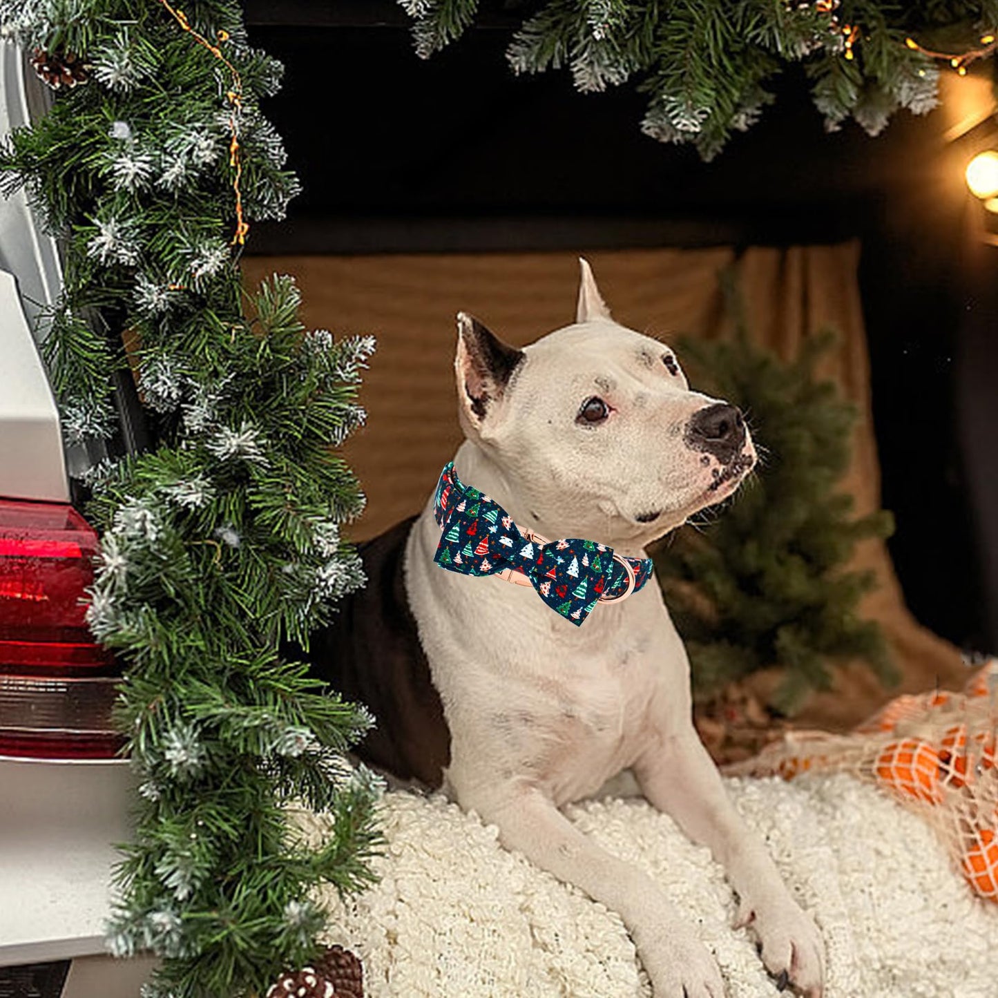 Elegant little tail Christmas Dog Collar, Christmas Tree Pet Collars Bow Red Metal Buckle Collar Puppy Girl Boy Holiday Cotton Soft Bowtie Adjustable Dog Collar for Large Dogs