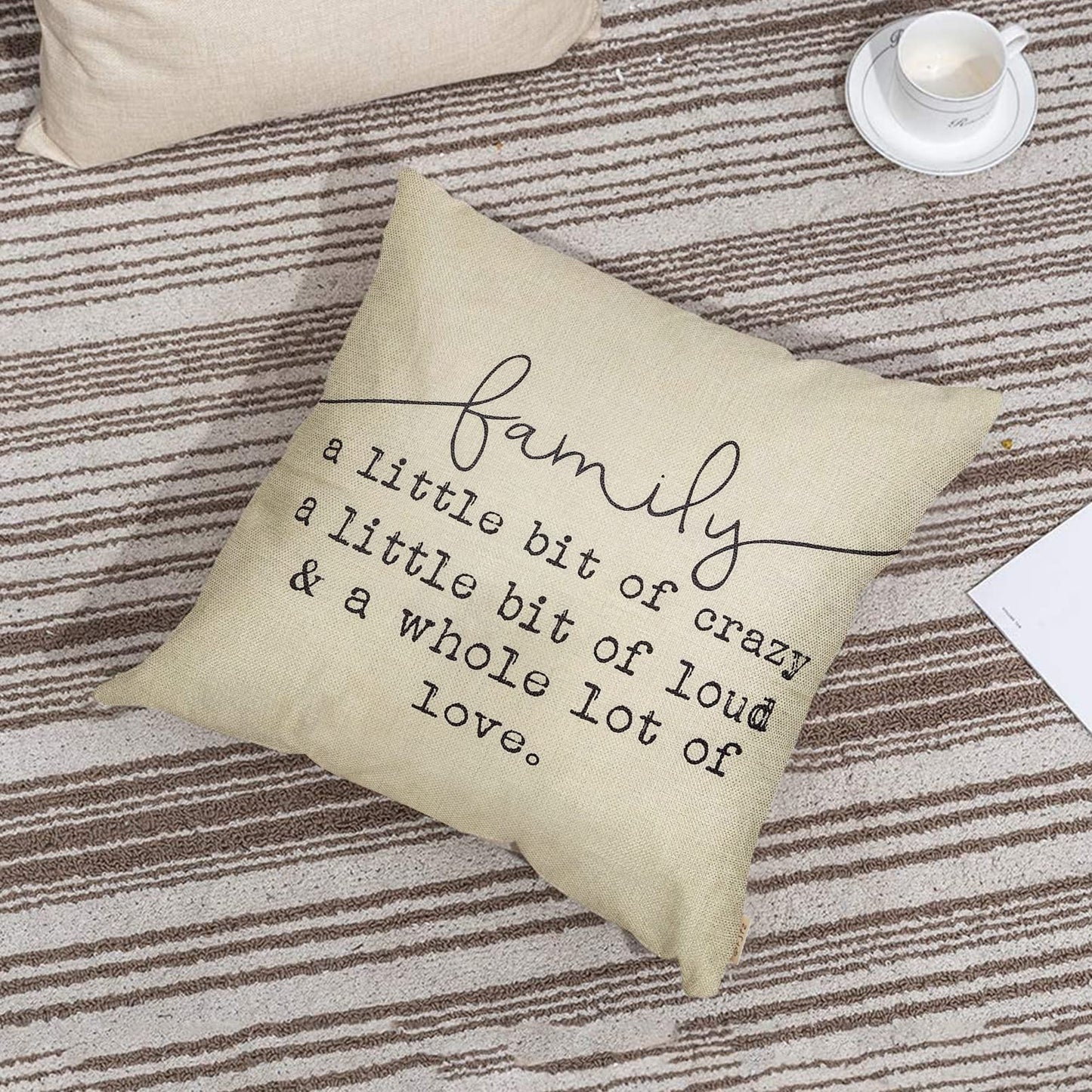 Fjfz Family a Little Bit of Crazy Decorative Throw Pillow Covers, Farmhouse Quote Home Rustic Decorations, Christmas Inspirational Gifts Winter Cotton Linen Cushion Case Decors for Sofa Couch 18 × 18