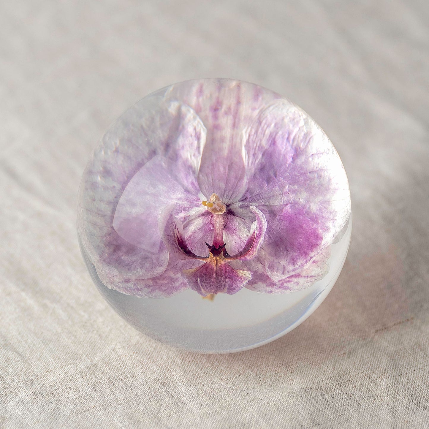 NouvoCrescent Real Purple Orchid Paperweight - Home Decor Crystal Resin Ball 3.14in (80mm) - Clear Resin Purple Orchid Flower Globe for Special Days - Sphere Figurine Office Paperweight w/Flat Bottom