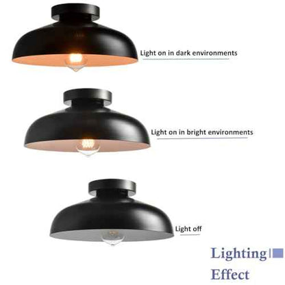 DIRYZON 12-Inch Industrial Ceiling Light Fixture,Black Bedroom Ceiling Light,Metal Ceiling Lighting for Hallway Kitchen