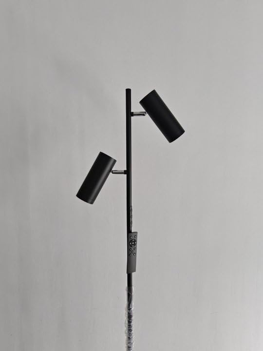 Adjustable Floor Lamp, Dual Head, Black