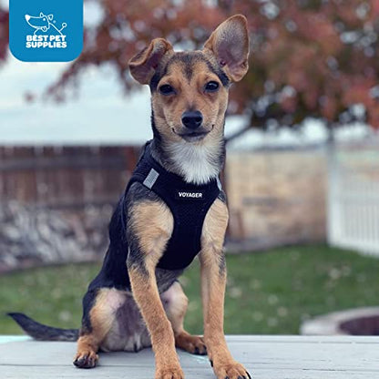 Voyager Step-In Air Dog Harness - All Weather Mesh, Reflective, No Pull Harness for Small, Medium Dogs, Cats - Secure with Hook & Loop Fastener, Buckle, Double D-Rings - Black/Black Trim, S