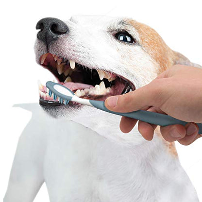 Nylabone Advanced Oral Care Dog Dental Kit Original Flavor 2.5 oz.