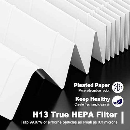 116130 Replacement Filter H for Winix 5500-2 AM80 Plasmawave Air Purifier, True HEPA Filter and Activated Carbon Filter Combo Pack, 3 Set