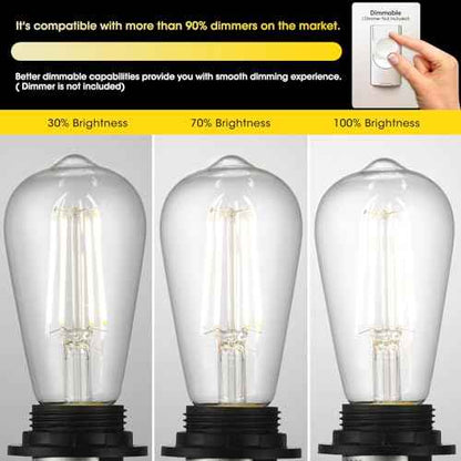 LED Edison Light Bulbs, 60W Equivalent Incandescent Edison Bulbs, Efficient 6W ST58, E26 Medium Base, Dimmable, 750 Lumens, 4000K, Cool White, 90+ CRI, Clear - 24 Count (Pack of 1)