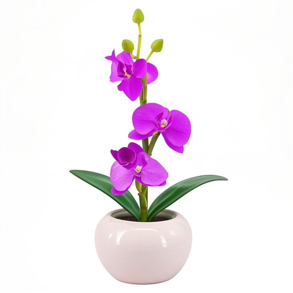 Naimo Phalaenopsis Night Light Rechargeable LED Night Lamp Flower Table Lamp for Bedroom Living Room Birthday Party Desktop Home Decor