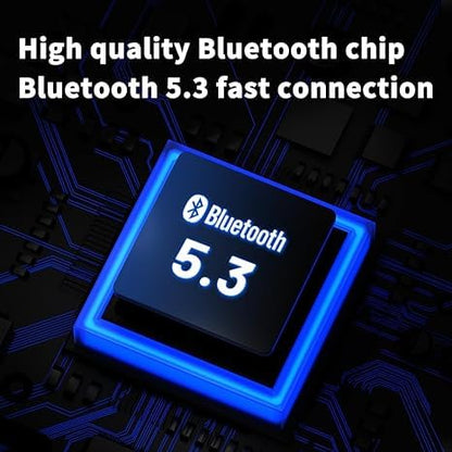 Fanmusic TRN BT20 Pro True Wireless Bluetooth 5.3 Earphone Module Swappable connectors (Headphones not Included) (2pin-S)