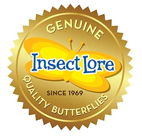 Insect Lore Butterfly Garden Kit – 10 Live Caterpillars, Habitat, STEM Journal, 2 Chrys-a-lid Holding Logs & Feeder – Grow & Release Painted Lady Butterflies – Educational Science Toy