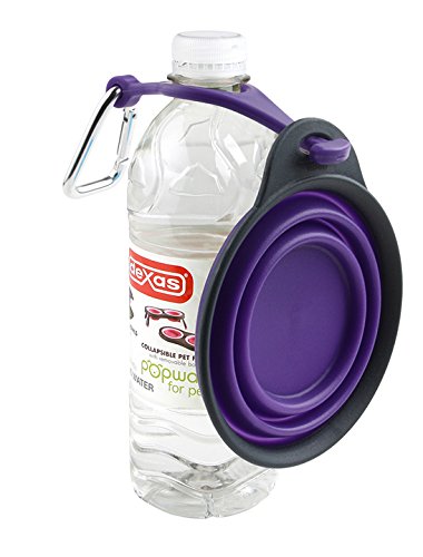 Dexas Popware for Pets Collapsible Travel Cup, Large, Gray/Blue