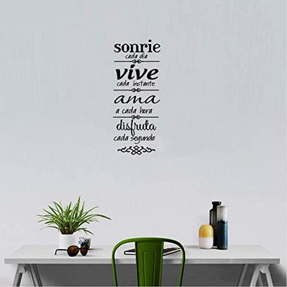 Sonrie Vive AMA Wall Decal Home Decor Spanish Family Rules Decals Art Sticker (23.6''x7.8'')