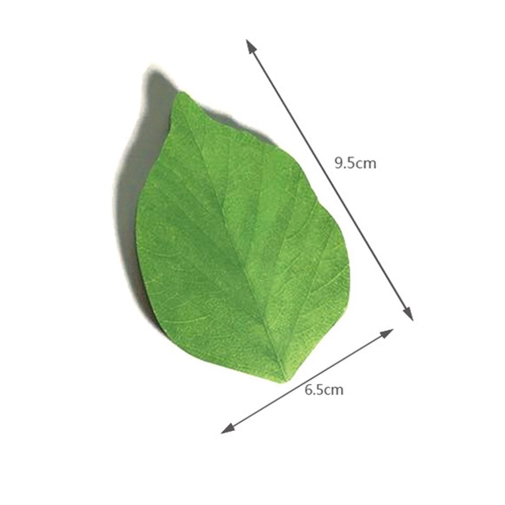Funny live Leaf Sticky Note Pads Memo Pads Anti-Forgetting Reminder Note DIY Decoration Home Wall/Photo Wall Decoration,50 Sheets/Pad,8 Pads,400 Pages in Total