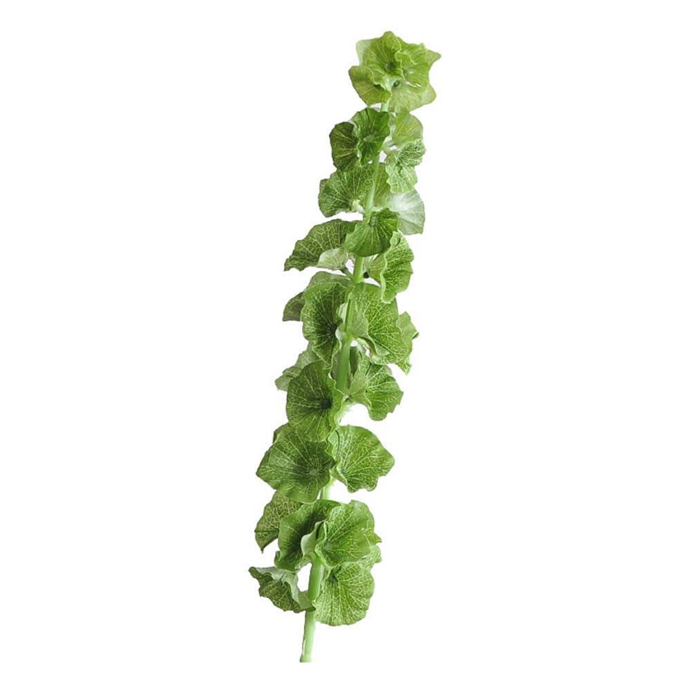 Doment 3Pcs Shell Leaf Artificial Flower Bell Grass Flower Bells of Ireland Long Stem Floral Arrangement Home Office Arrangements Indoor Outdoor Decoration