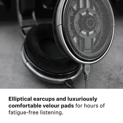 Sennheiser Consumer Audio HD 650 - Audiophile Hi-Res Open Back Dynamic Headphone, Titan