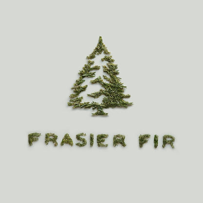 Thymes Frasier Fir Reed Diffuser Set – Includes Reeds, Fragrance Oil, and Frosted Glass Bottle – Fragrance Oil Diffuser – Room Fresheners – Luxury Home Decor – Green & Clear (Pine Needle, 4 fl oz)