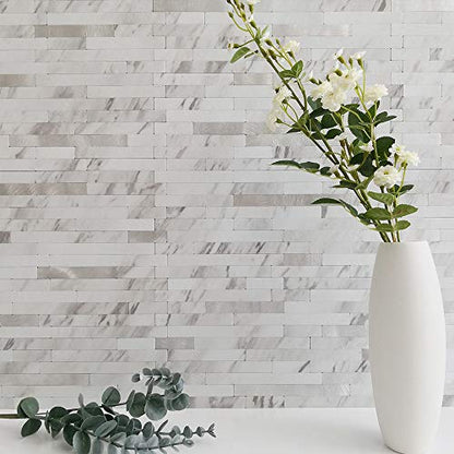 DICOFUN Peel and Stick Backsplash Tile, PVC Mixed Metal Stick on Backsplash Tiles for Kitchen and Bathroom (1, White Marble & Metal Silver)