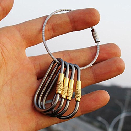 EKLOEN 5pcs MINI Titanium Locking Carabiner, Perfect D-Ring for Outdoor and Indoor Use