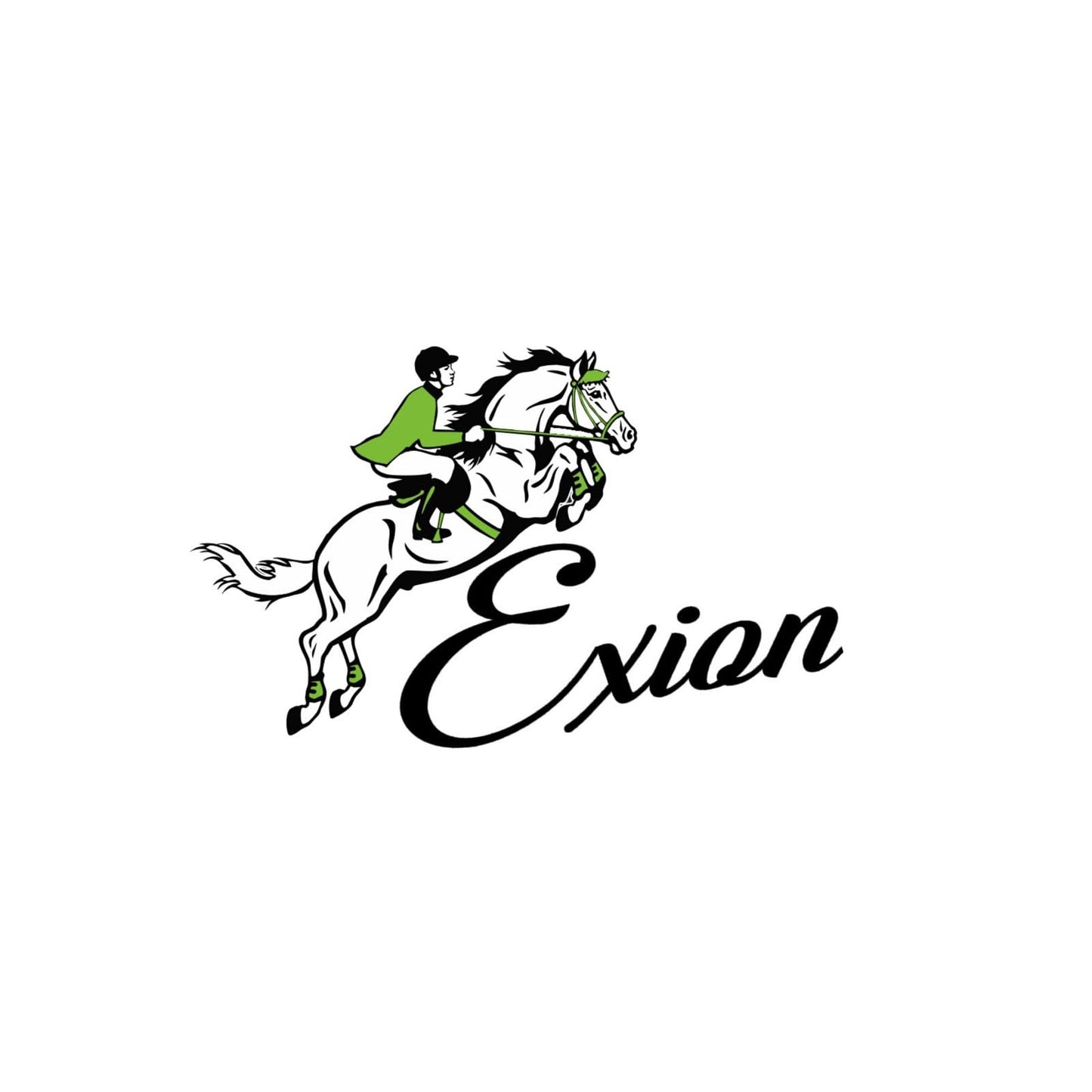 ExionPro Exion Anatomic Shape Crown Piece Fancy Stitched Square Raised Figure 8 Noseband Jumping Bridle with Rubber Reins | English Figure 8 Bridle