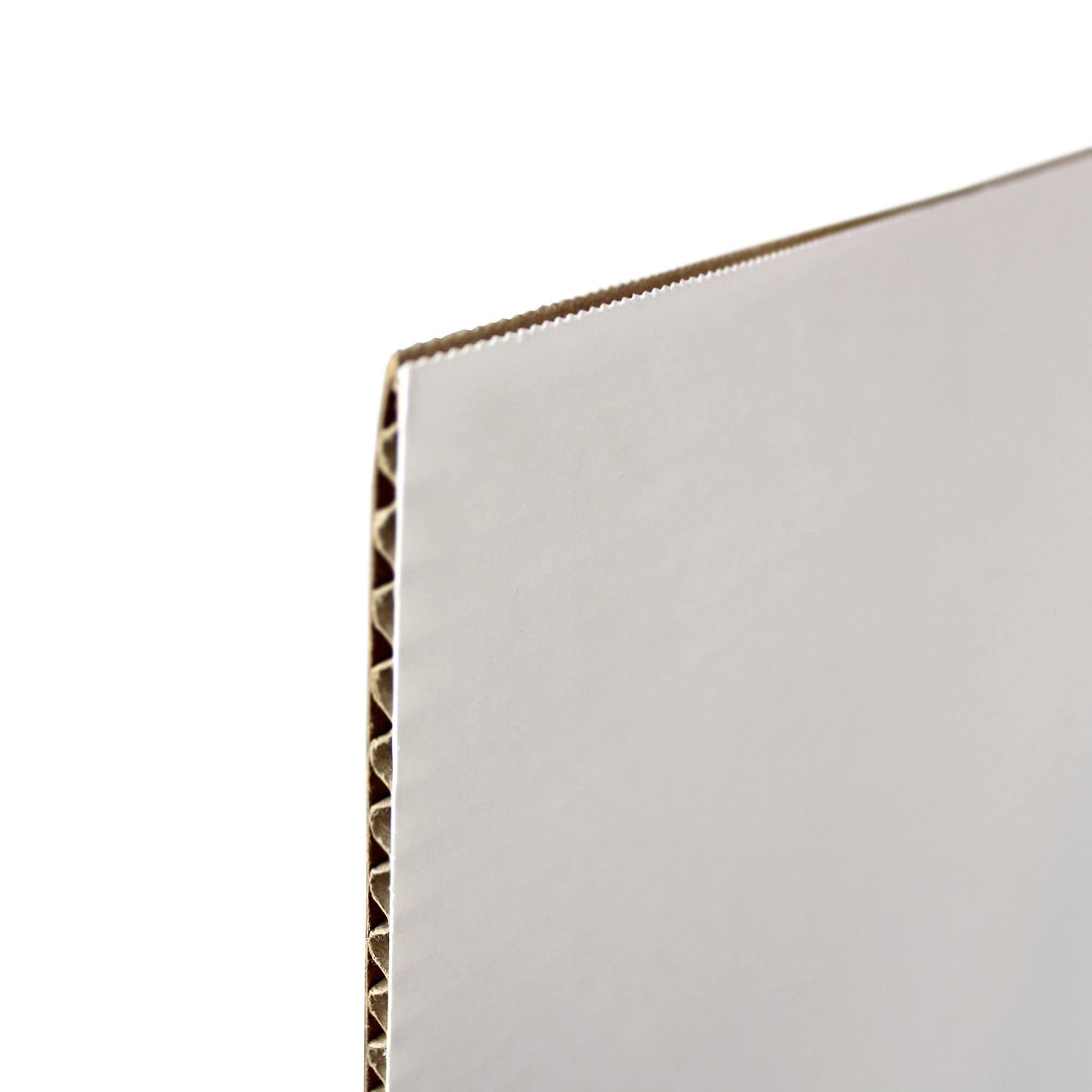 Flipside Products 36” x 48” Project Boards for Presentations, Science Fair, School Projects, Event Displays and Trifold Picture Board, Proudly Made in USA - Clay White - 24 Pack
