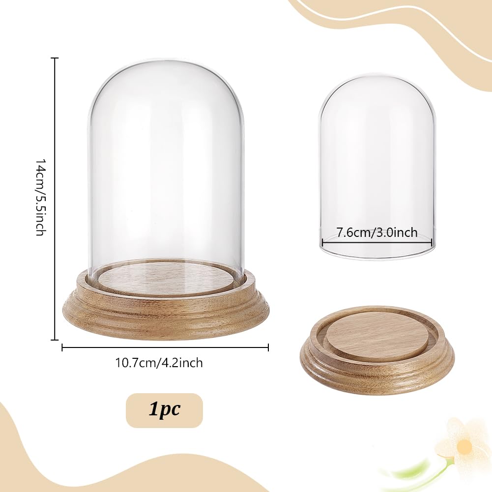 PH PandaHall 4.2" x 5.5" Glass Display Dome Cloche, Glass Dome Clear Bell Jar Display Case Tabletop Centerpiece with Solid Wood Base for DIY Snow Globes Flowers Plants Birthday Home Decor, Light Brown