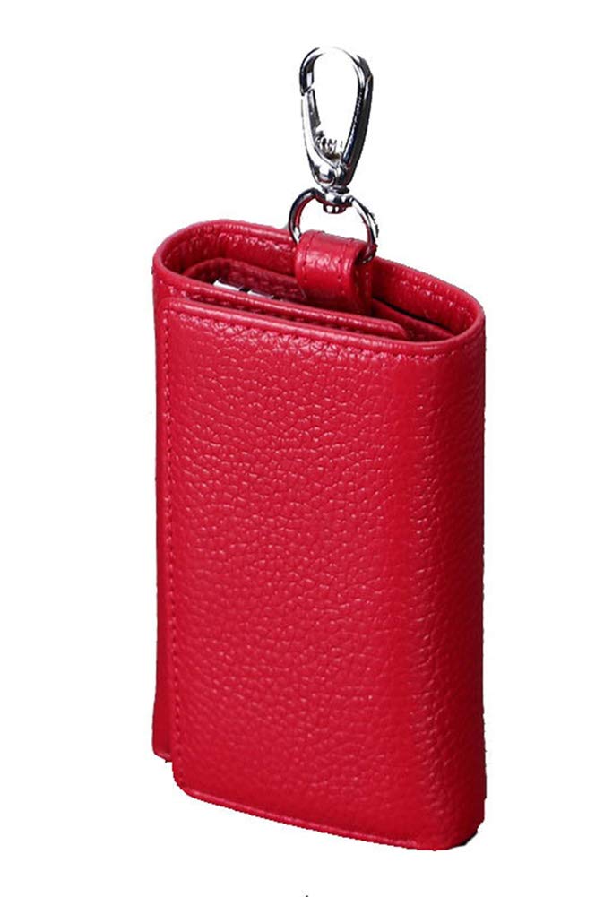 RuoFeng Keychain Key Holder Ring with 6 Hooks Snap Closure (Rose red)