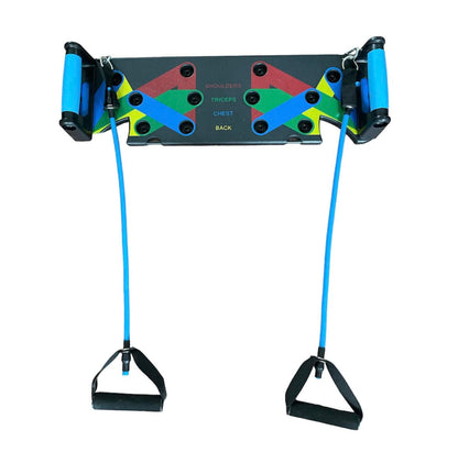 Push Up Board with Labeled Muscle Groups, Multicolor